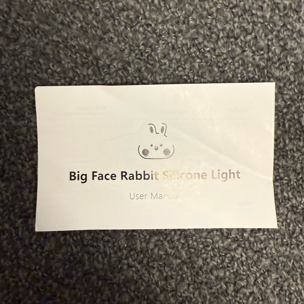 DuckyLay Rabbit Lamp - Picture 10 of 10